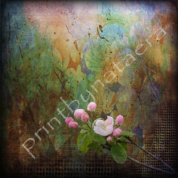 ORIGINAL abstract landscape PRINT 8" x 8" flowers home decor wall art digital photography photo artwork drawing wall decor wall print