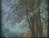 abstract landscape PRINT 8" x 8" tree home decor wall art decor room decor digital photography nature photo wall decor wall print painting