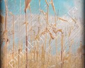 ORIGINAL abstract landscape photography PRINT 8" x 8" home decor wall art decor room decor digital photo nature painting wall decor