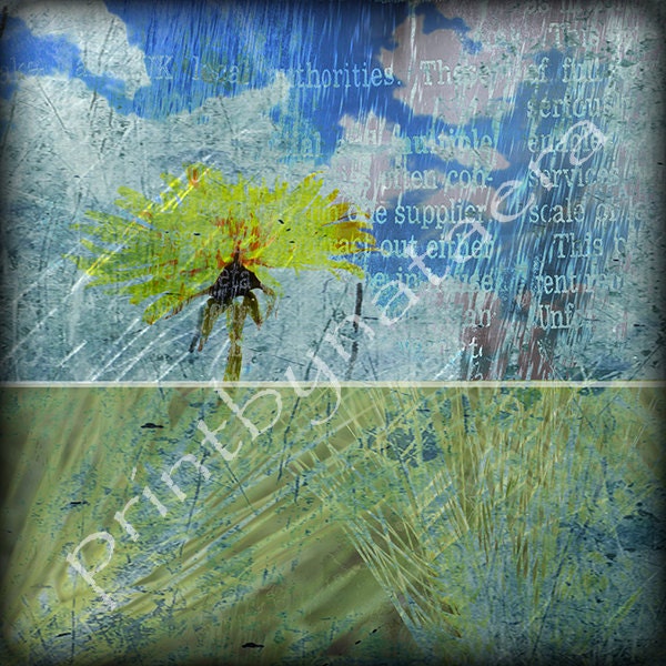 ORIGINAL abstract landscape photo PRINT 8x8 flowers home decor wall art digital photo photography artwork wall print painting wall decor