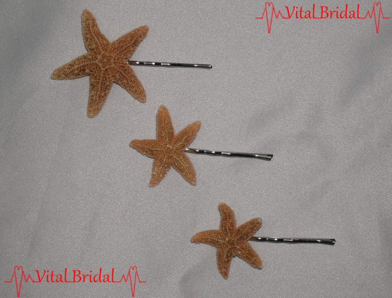 Beach Wedding 3 piece hair pins clip barrette Real Starfish star fish