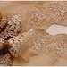 Light Brown Embroidery Tulle Lace Trim for Jewlery Supplies, Bridal Supplies,1 yard romantic embroidery lace