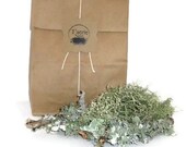 Terrarium Lichen,  Natural Moss,  Terrarium Supply,  Lichen Sticks, Natural Moss and Lichen