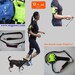 Hands free dog leash - Color: NeonYellow w/  iPod(R) Pocket from Otg Paws -- 3rd hand leash(TM)