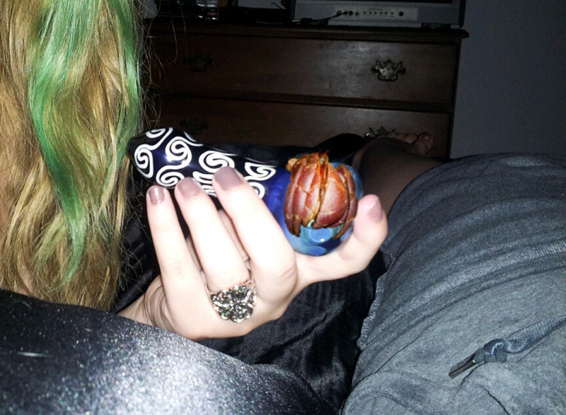EASTBOUND And DOWN Stoner Crab Kit :) Very Rare D.I.Y. Fun For Friends (Just don't smoke while plastic crab is in there haha) Great Birthday