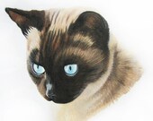 CUSTOM pet portrait original drawing - pastel pencil - 8 x 10 inches- by Vanessa Lopez