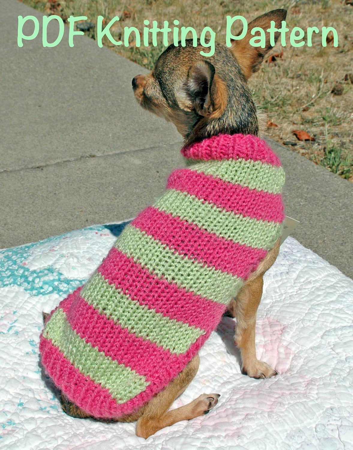 Easy & Cute Dog Sweater Knitting Pattern by DimpleberryHill