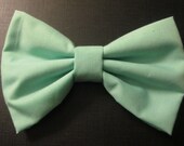 Mint Green Hair Bow with French Barrette clip