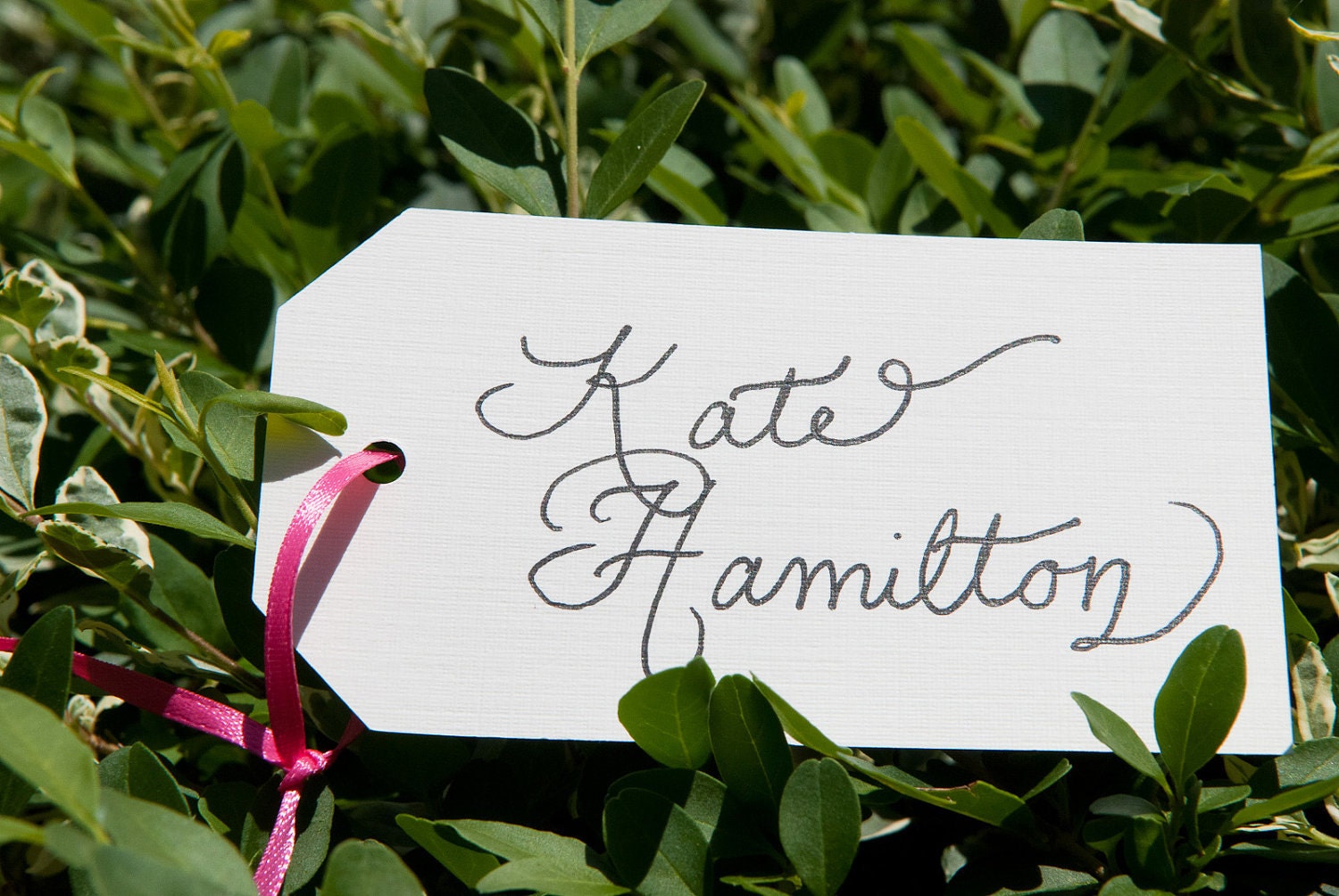 Custom Wedding Calligraphy Place Card Tags