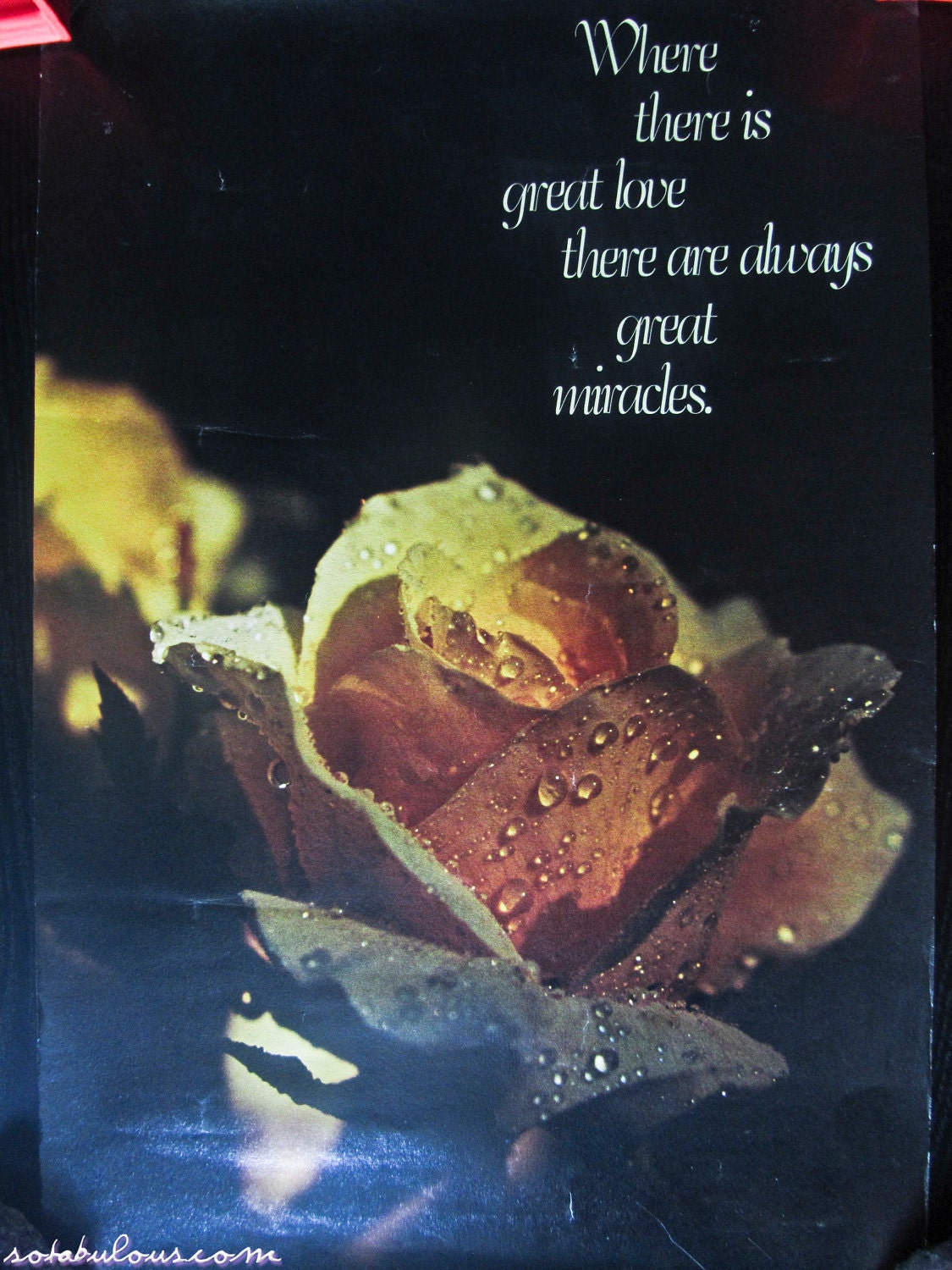 SALE Vintage 1975 14x21 Inspirational Yellow Rose Poster "Where There Is Great Love There Are Always Great Miracles"
