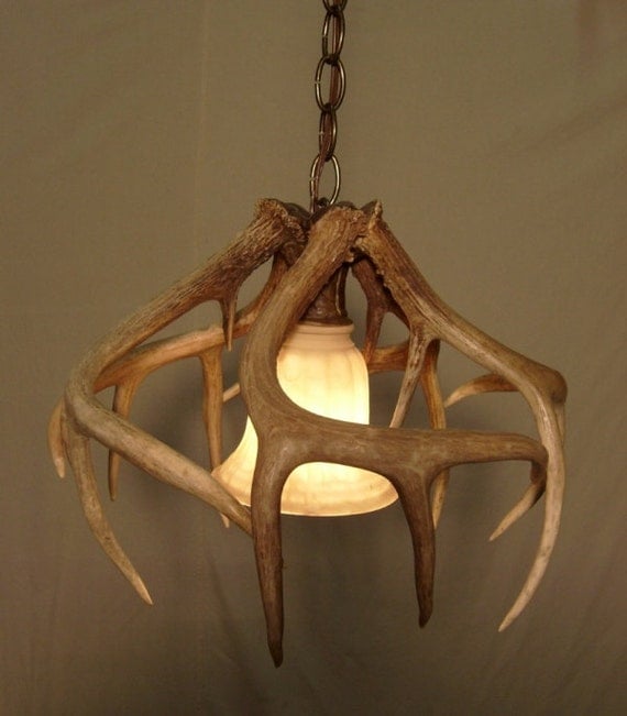 Real Whitetail Antler Pendant Light Fixture by IdaGlowAntler