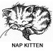 NapkittenPattern