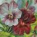 Pat Robinson