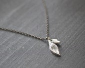 leaves.