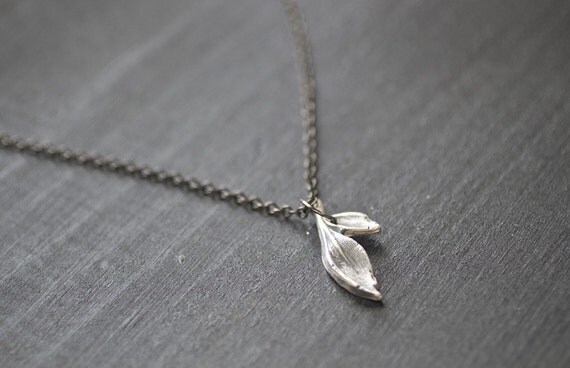 leaves.