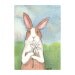Original Watercolor Rabbit Painting - Dutch with Daisy - ACEO