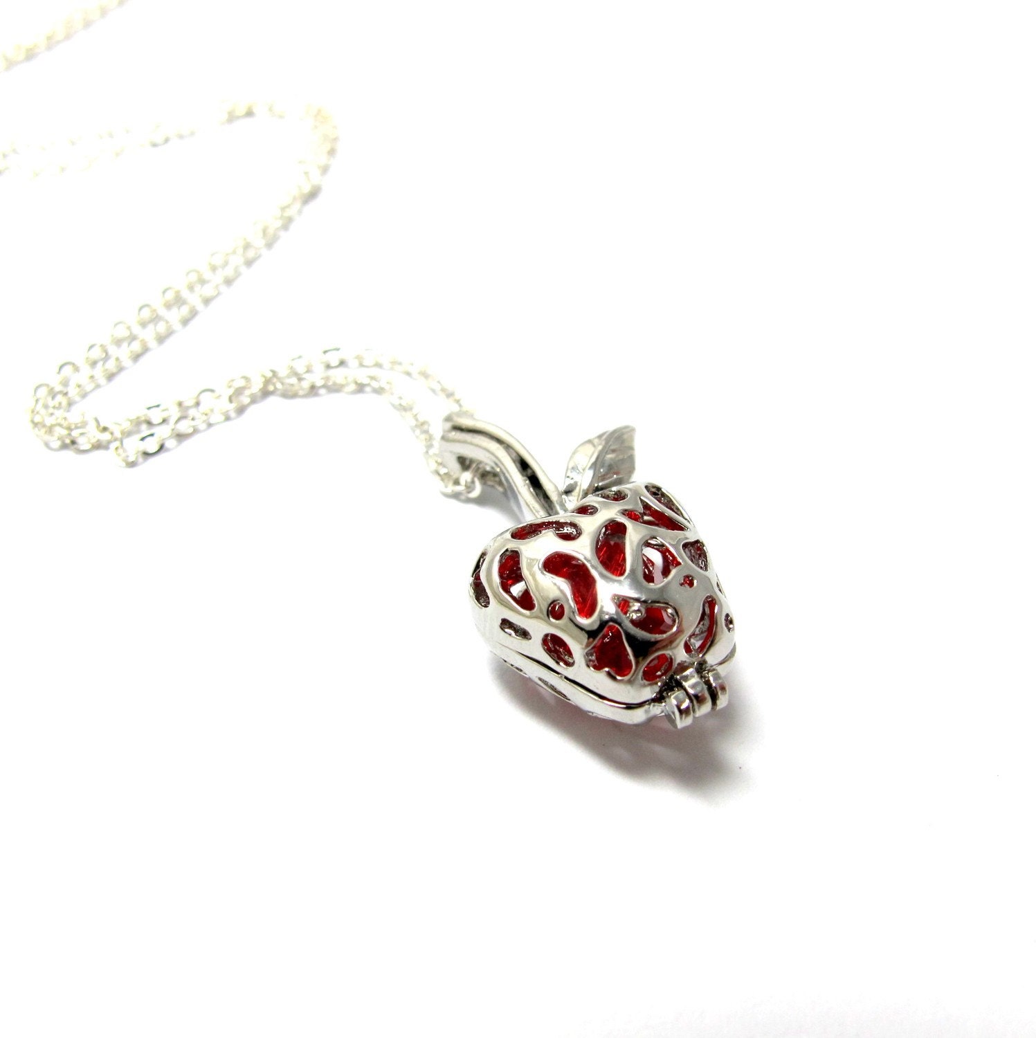 CLEARANCE - Graduation Locket Necklace . The Red Apple
