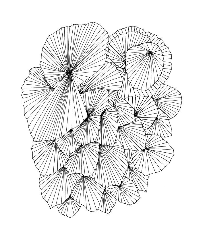 A Fan of a Fan 8x10 Abstract Fine Art Archival Print of Original Pen and Ink Drawing