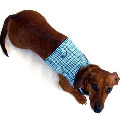 Eco Dog Harness - Renewable Aqua Blue Plaid Cotton - Medium