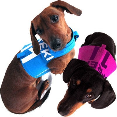 Eco Dog Harness - Renewable Cotton Sporto - Large