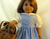 Dorothy Costume with Shoes