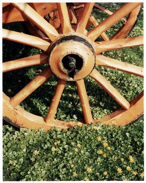 Irish Wagon Wheel ... 8x10 Ireland Photo