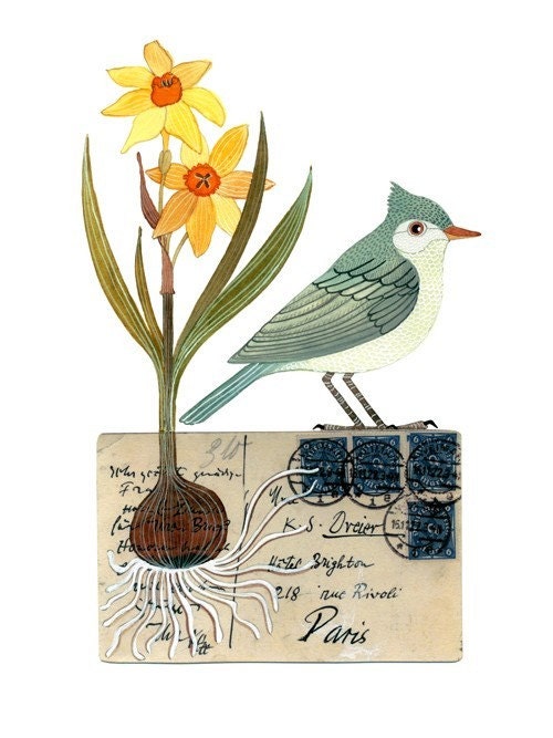 Bird No23