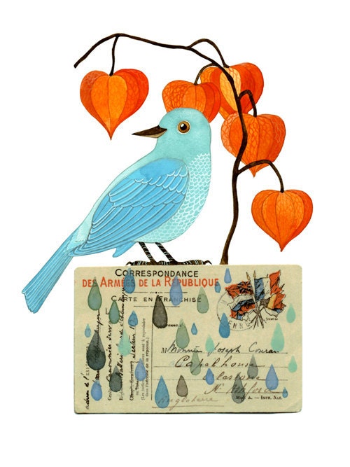 Bird No.27