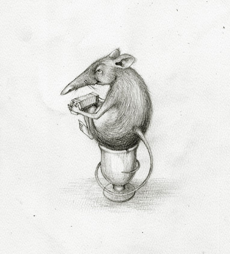 The Concertina Eggcup Song