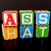 Vintage Letter Blocks - ASSHAT