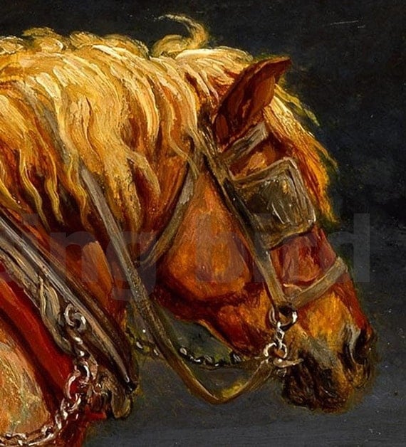 Gorgeous Draft Horse, INSTANT DOWNLOAD, Digital Image, c. mid-1800s