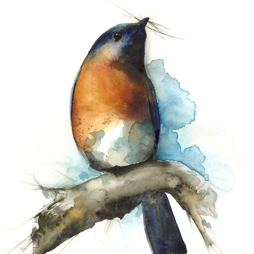 watercolor painting- bird art- bluebird art -"Sky"- Bluebird watercolor archival print of bluebird painting - amberalexander