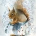 A  New Apron-Squirrel Art,nursery, children, decor