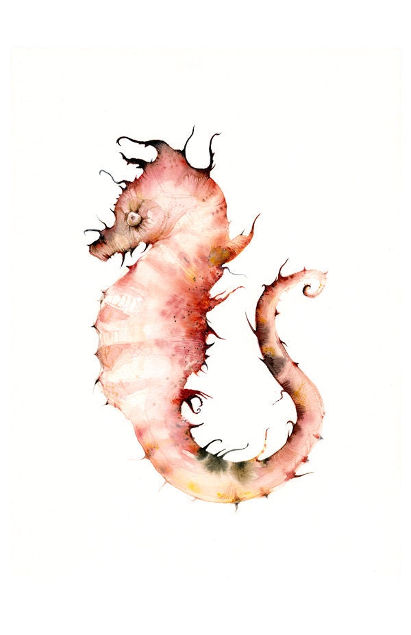 Seahorse watercolor, seahorse art print-Corals- large print, nautical, ocean decor