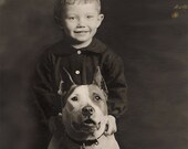 Pit Bull Dog Birthday Card Pittie