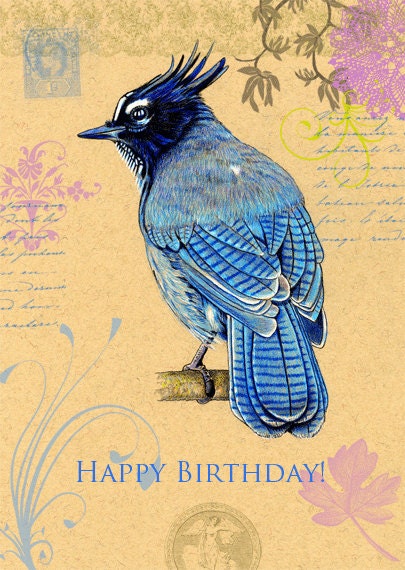 Steller's Jay Birthday Card
