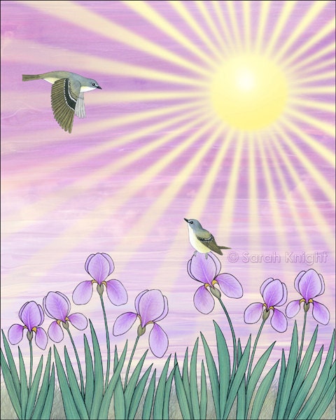 mauve morning rendezvous - signed fine art print 8X10 inches, vireos birds lavender mauve sunshine