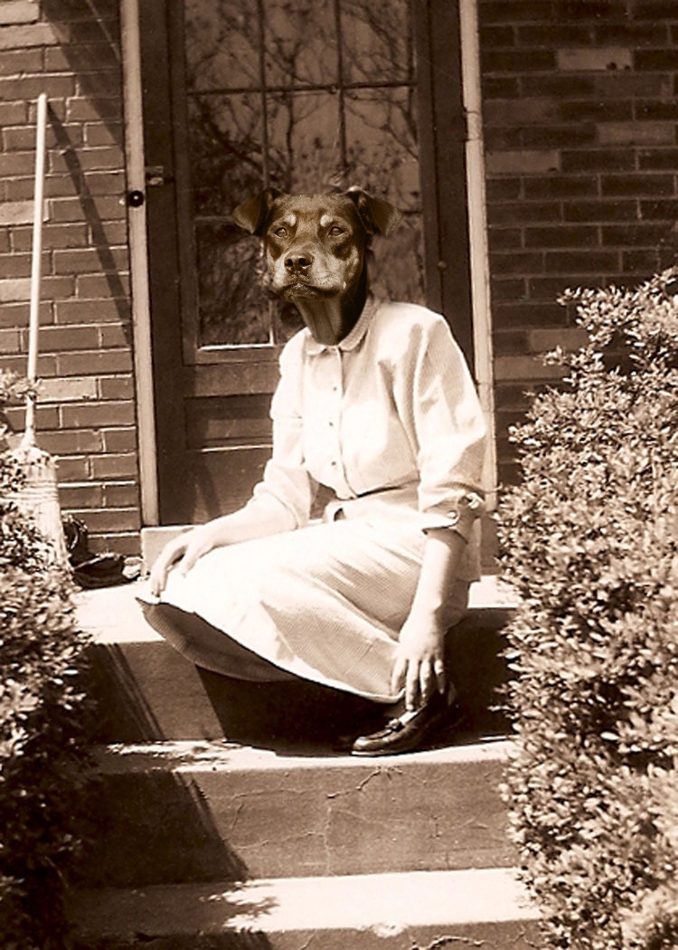 Stella 5x7 Anthropomorphic print