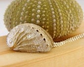 Sea shell Necklace Sterling Silver