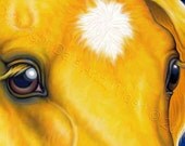 ACEO Horse Palomino Art Print High Quality Gentle Eyes