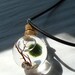 SALE Live Marimo Moss Ball Orb with Pearl Mini Terrarium Necklace