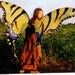 Custom Faerie Wings By Renae Taylor FOR KELLIE