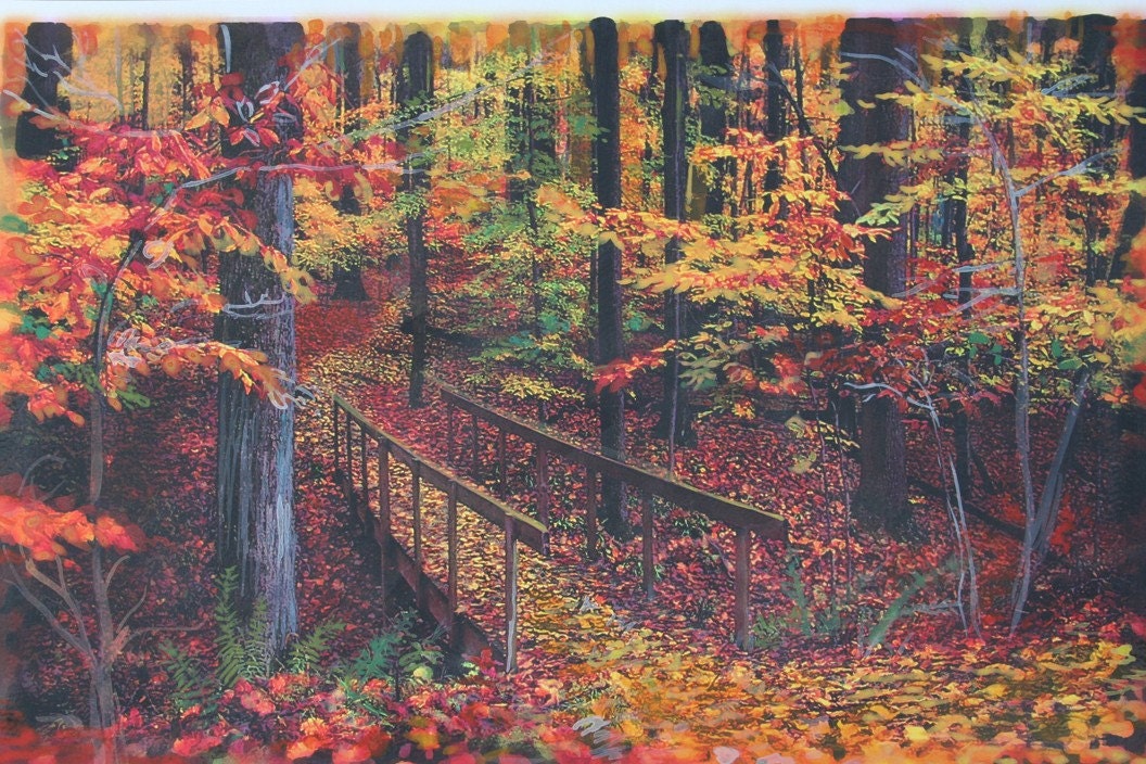 Autumn footbridge, 11x17, Original, Signed, Fine Art Photograph, Fall, autumn, art, trail, brown decor, nature