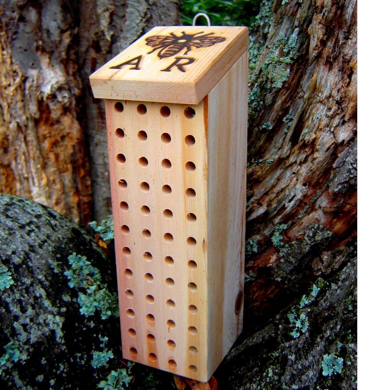 Mason Bee House