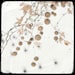 Nature photography, Winter photography, Art Photography, Snow Art, Winter Leaf,Winter decor, Minimalist, Print 8x8(20x20cm)