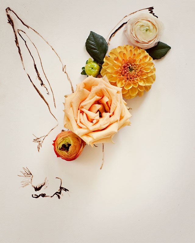 Rabbit No. 0059