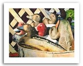 Louisiana Duck Decoys Waterfowl 11x14" Art Print Signed and Numbered