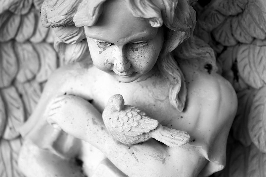 Stone Angel Fine Art Photograph, Black & White Photography, Stone Angel and Little Bird