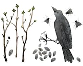 That Which Remains raven bird art original watercolor large painting