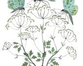 Papillon and Peresil butterflies large art  watercolor painting